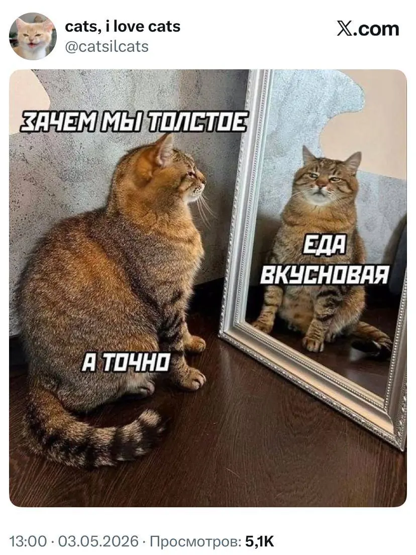 Где ты? Отвечай! 😅 | Сетка — социальная сеть от hh.ru