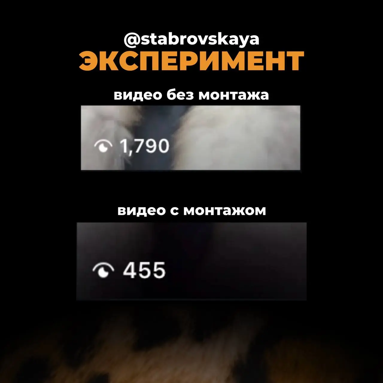 Делюсь результатами: монтаж не влияет на алгоритмы, но…
Да, алгоритмы подвинули видео, именно без монтажа | Сетка — социальная сеть от hh.ru