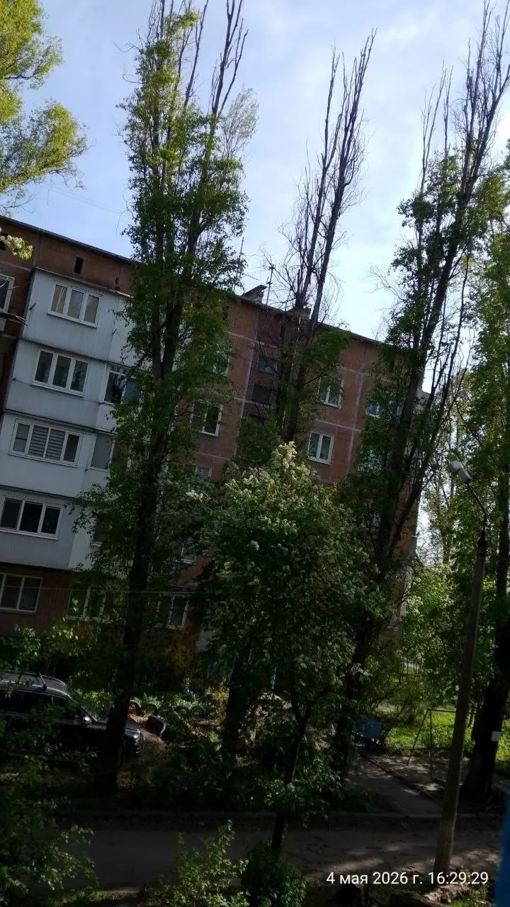 Донецк Будённовский район улица Римского-Корсакова между 10 и 12 домами сегодня 4 мая убирали сухие деревья,но не до конца убрали отработали на отстань | Сетка — социальная сеть от hh.ru