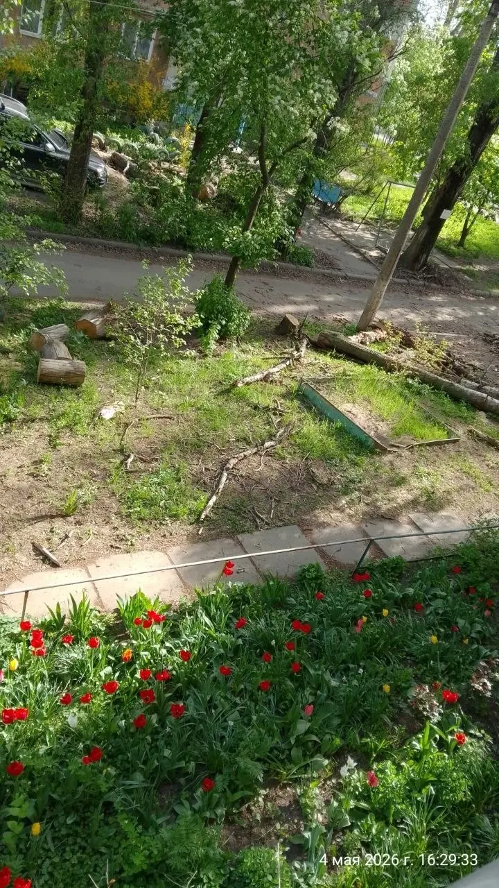 Донецк Будённовский район улица Римского-Корсакова между 10 и 12 домами сегодня 4 мая убирали сухие деревья,но не до конца убрали отработали на отстань | Сетка — социальная сеть от hh.ru