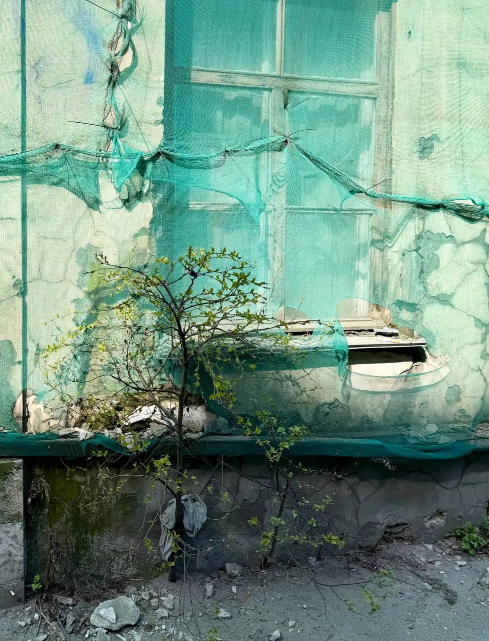 Петербург. Май. Грусть.
Я люблю его таким, облупившимся, величественным и немного больным | Сетка — социальная сеть от hh.ru