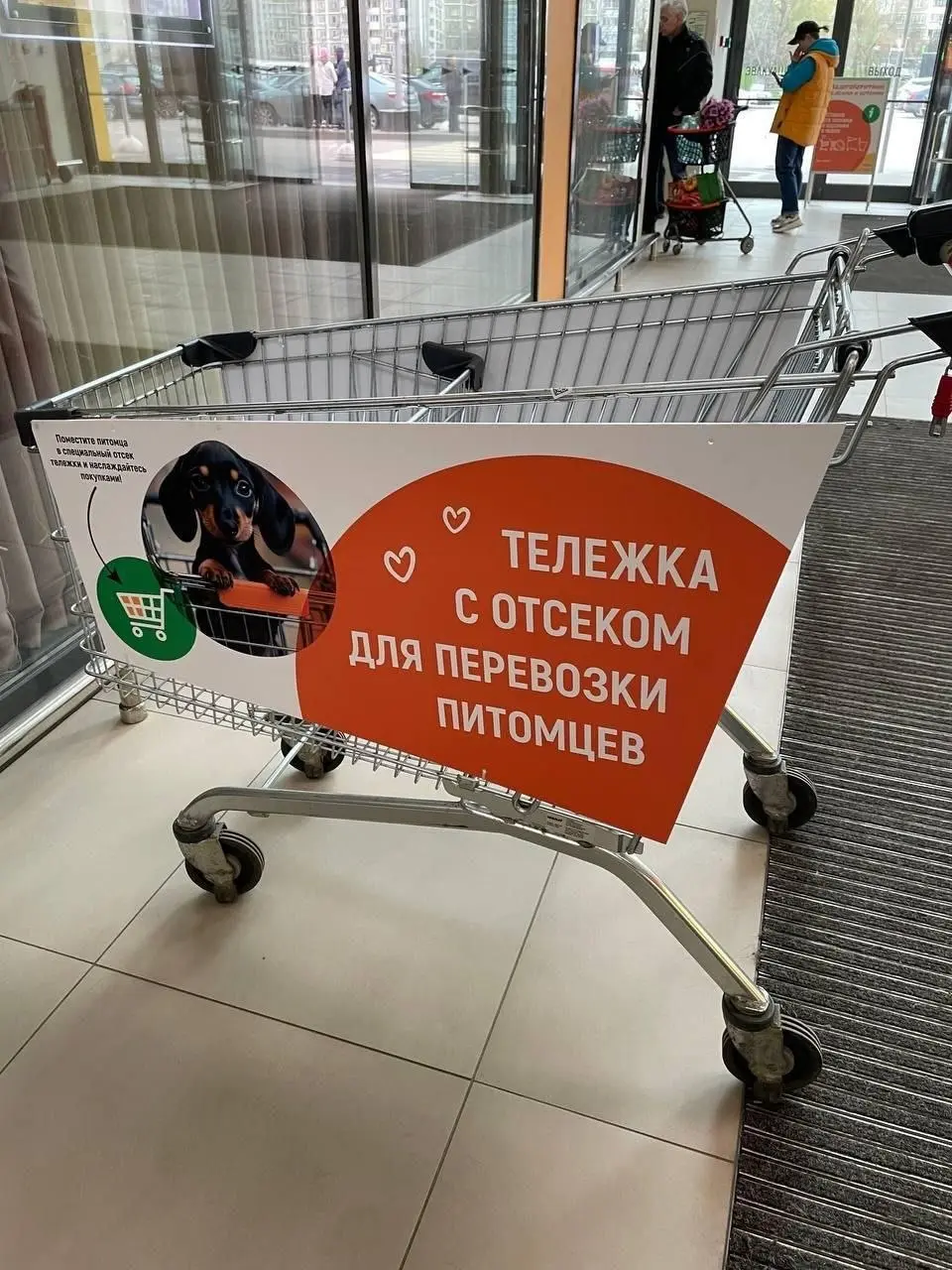 Глобус украл сердечки собачников. В магазинах сети появились тележки с отсеками для перевозки питомцев. Причём они отмечены как VIP-места | Сетка — социальная сеть от hh.ru