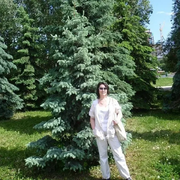 Елена Левина