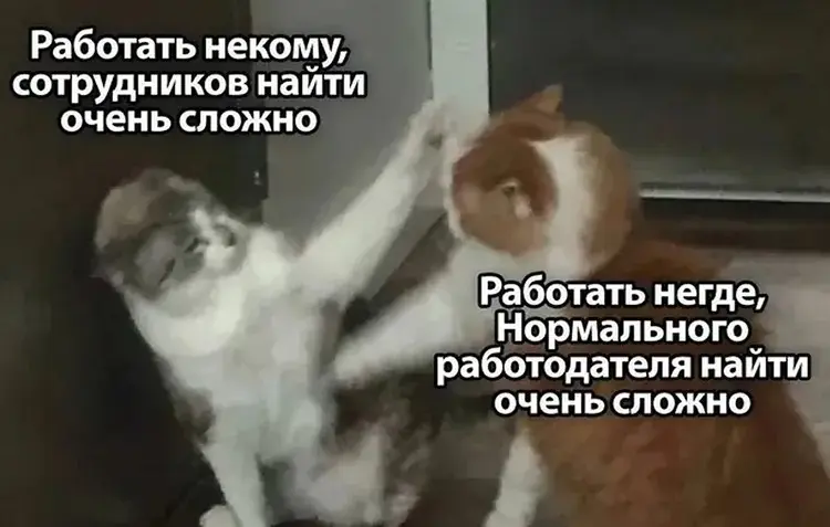 Давайте порвём этот порочный круг | Сетка — социальная сеть от hh.ru