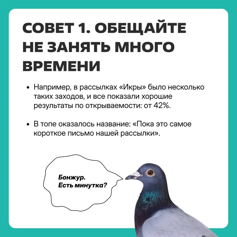 Знакомьтесь, это почтовый голубь Паша. Он принес вам 7 советов от школы «Икра» — о том, какие темы писем лучше заходят и приносят высокий open rate | Сетка — социальная сеть от hh.ru