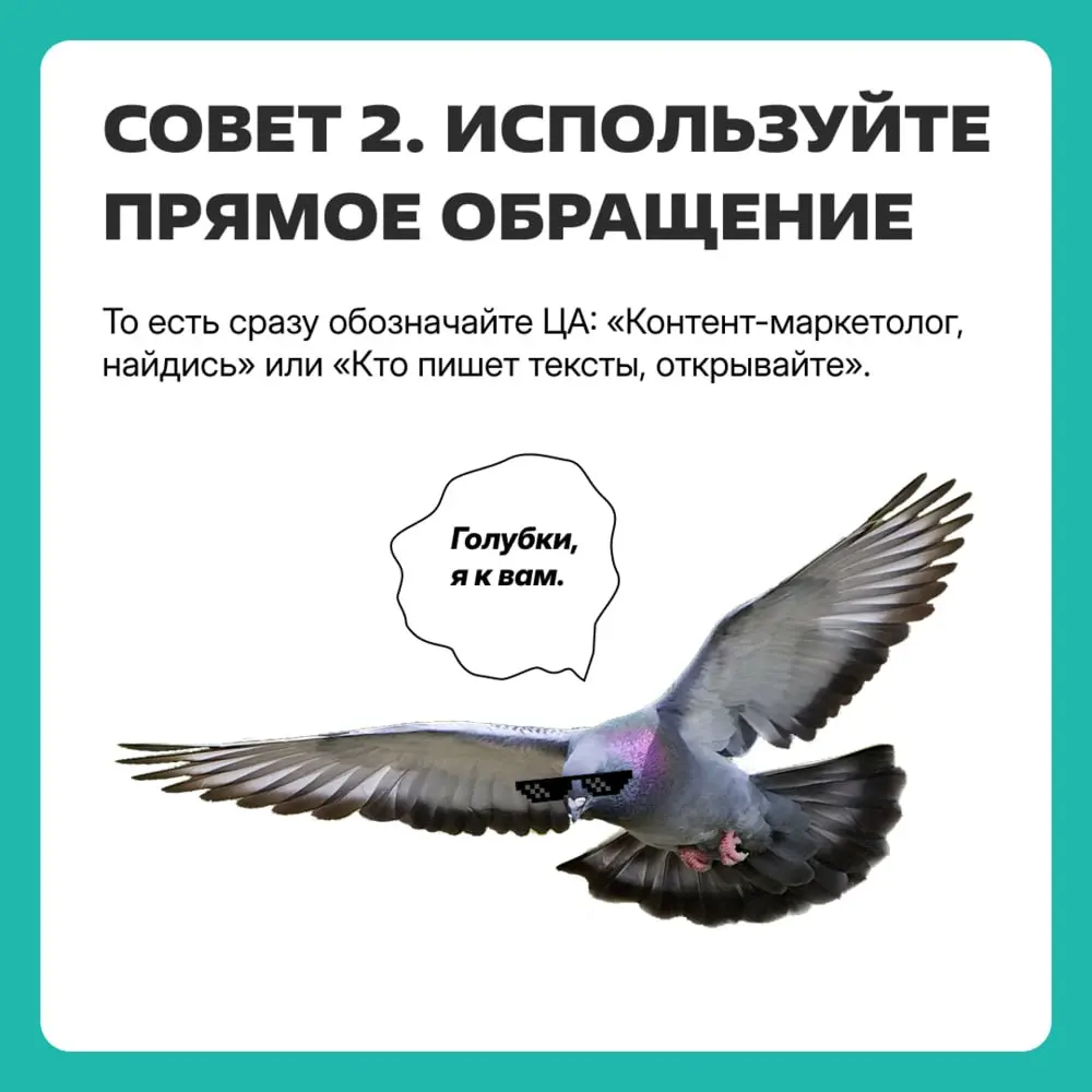 Знакомьтесь, это почтовый голубь Паша. Он принес вам 7 советов от школы «Икра» — о том, какие темы писем лучше заходят и приносят высокий open rate | Сетка — социальная сеть от hh.ru