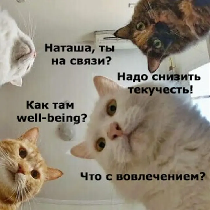 🤔 Где заканчивается ответственность HR за well-being? | Сетка — социальная сеть от hh.ru