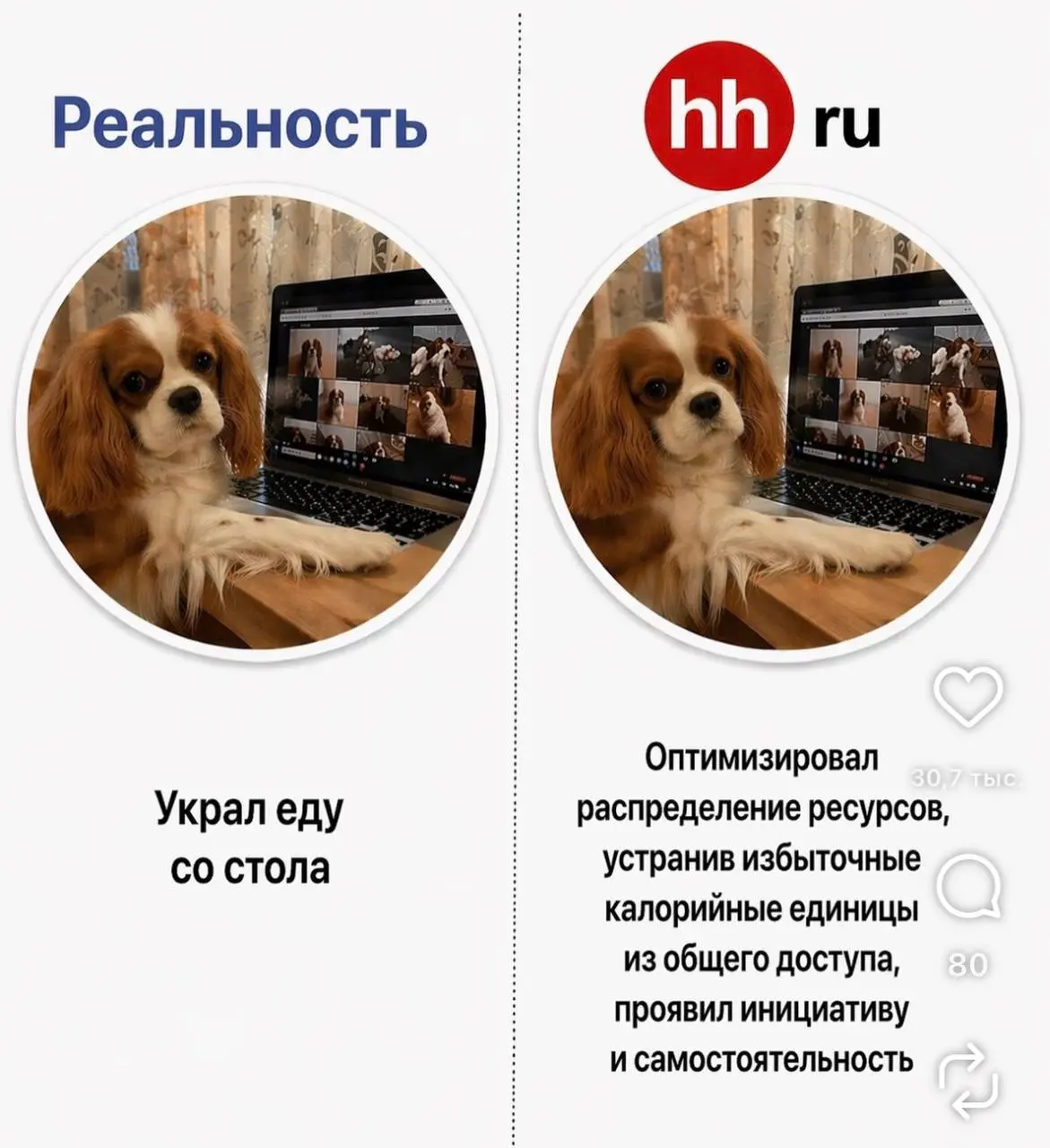 Найдено в одной запрещенной социальной сети 😁
Если вы думаете, что вам нечего писать в резюме – вы ошибаетесь 😉 | Сетка — социальная сеть от hh.ru