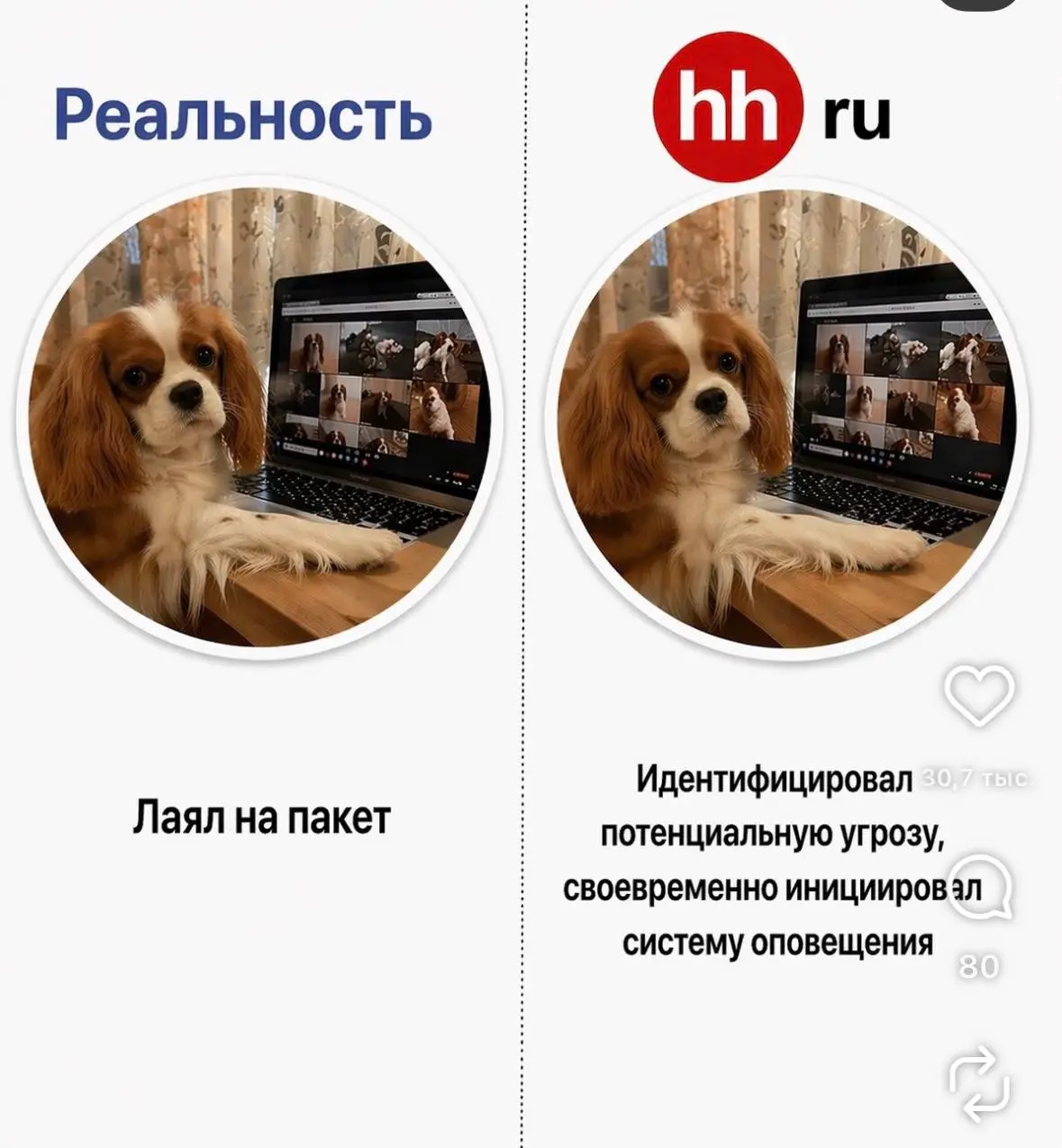 Найдено в одной запрещенной социальной сети 😁
Если вы думаете, что вам нечего писать в резюме – вы ошибаетесь 😉 | Сетка — социальная сеть от hh.ru
