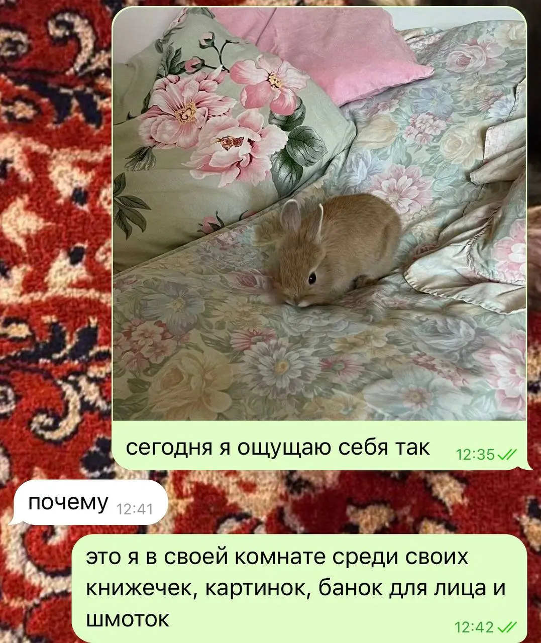 сегодня домашняя крыса | Сетка — социальная сеть от hh.ru