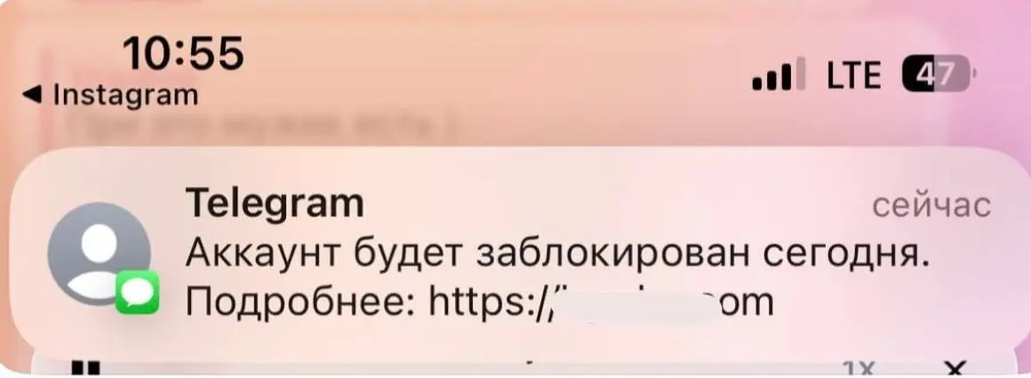 Мошенники атакуют россиян SMS от имени Telegram с угрозами блокировки аккаунта — скриншотами делятся в соцсетях | Сетка — социальная сеть от hh.ru
