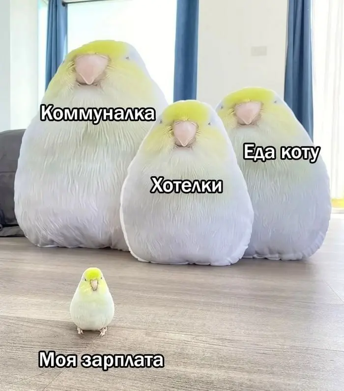Про справедливую зарплату | Сетка — социальная сеть от hh.ru