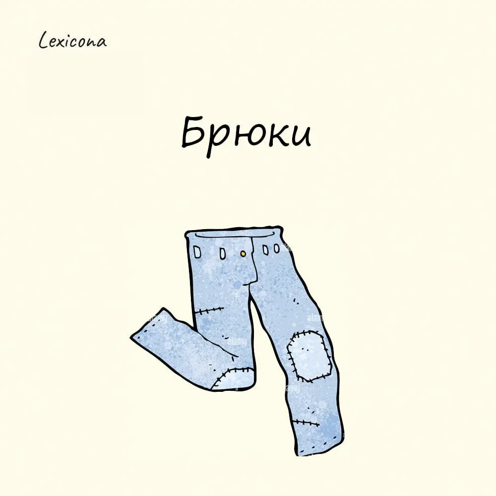 Брюки
По одной версии, слово пришло из тюркского языка и означало «сдвоенная юбка».
По другой – из нидерландского "broek", что переводилось как «штаны моряка» | Сетка — социальная сеть от hh.ru