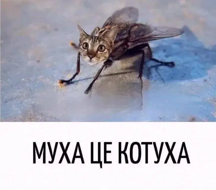Если вам не смешно, то больше не пишите мне | Сетка — социальная сеть от hh.ru