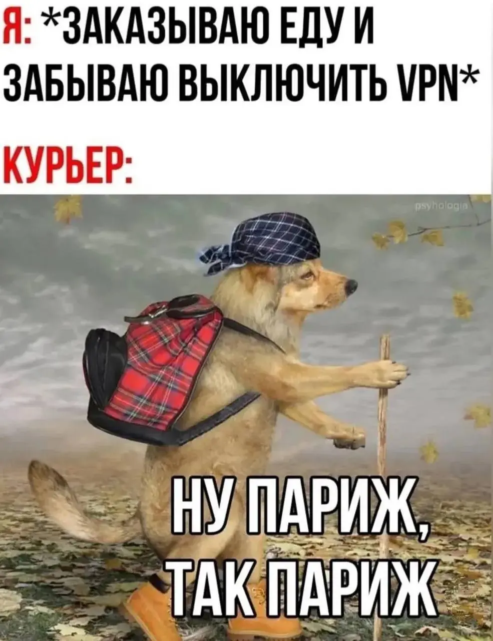 Это вообще мой любимый | Сетка — социальная сеть от hh.ru
