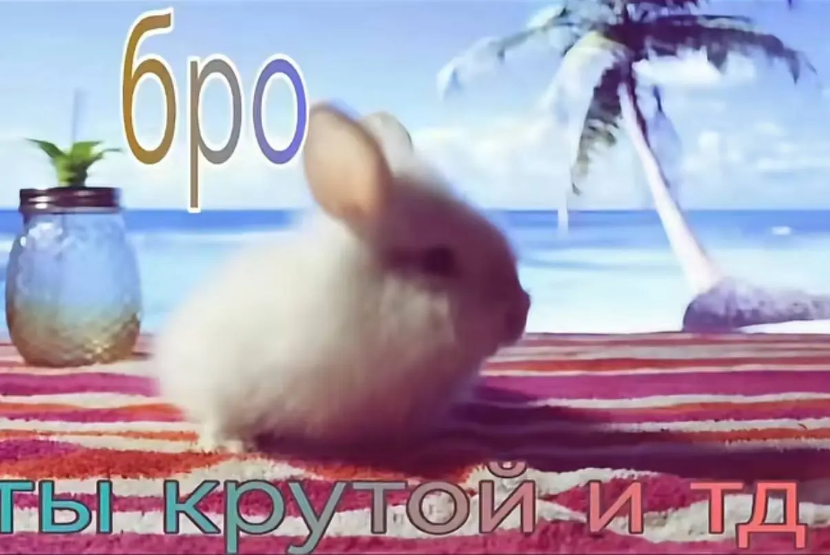 daily reminder | Сетка — социальная сеть от hh.ru