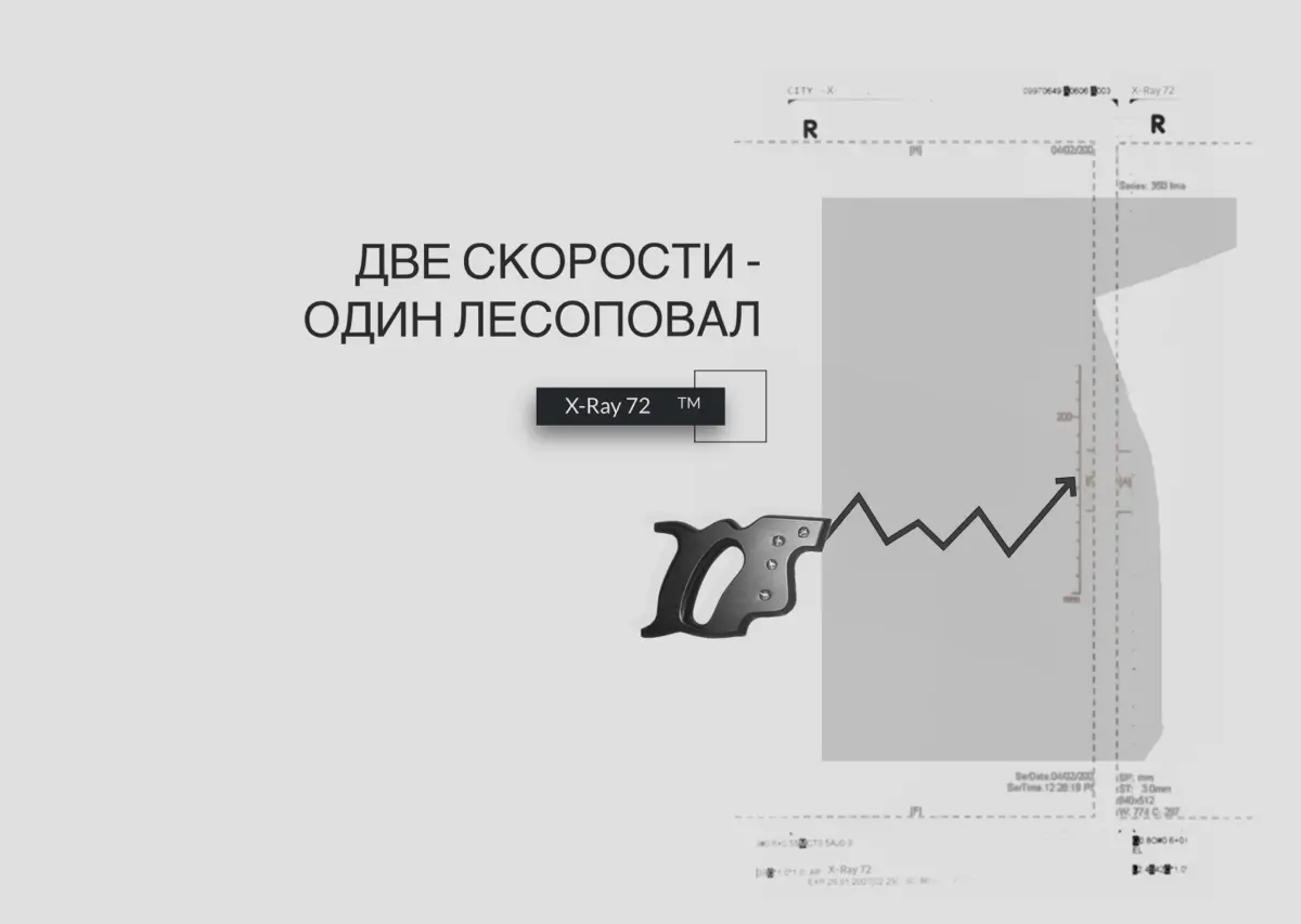 Не пили с ИИ | Сетка — социальная сеть от hh.ru