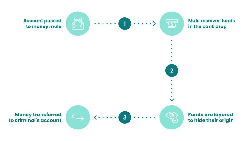 Mull Wallet — дыра в вашем KYC, о которой вы, не знаете | Сетка — социальная сеть от hh.ru