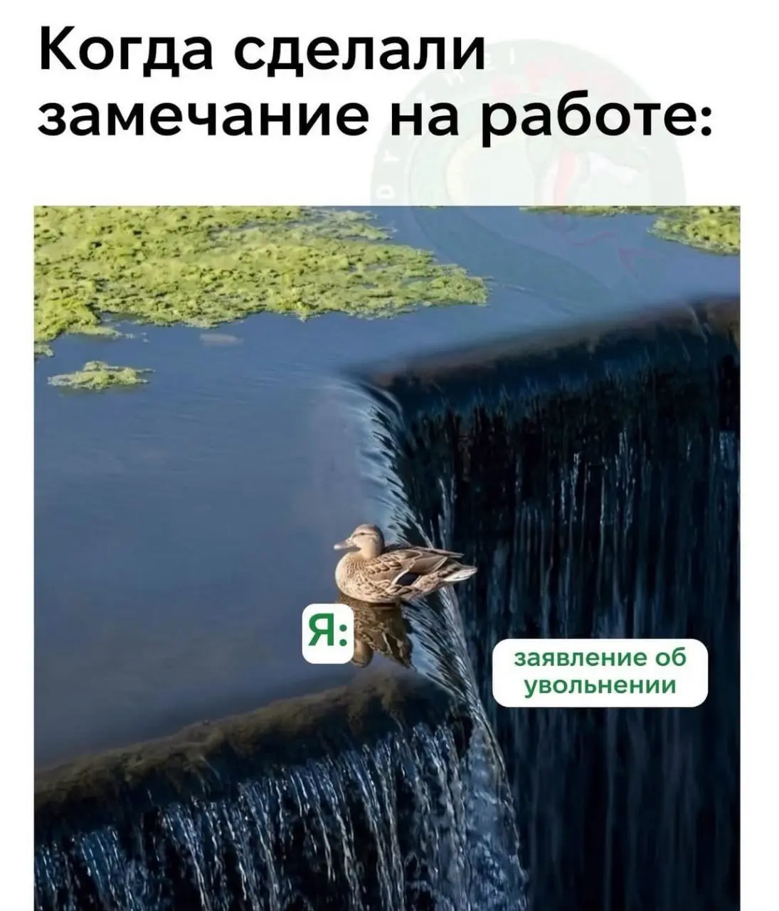#work | Сетка — социальная сеть от hh.ru