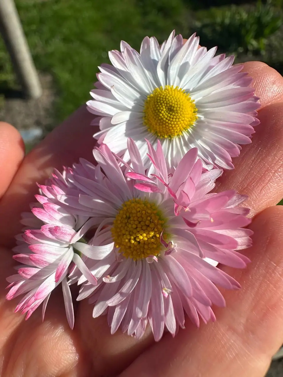 Всех приветствую 🌸
Застряла где-то в праздничных выходных и собственной рутине | Сетка — социальная сеть от hh.ru