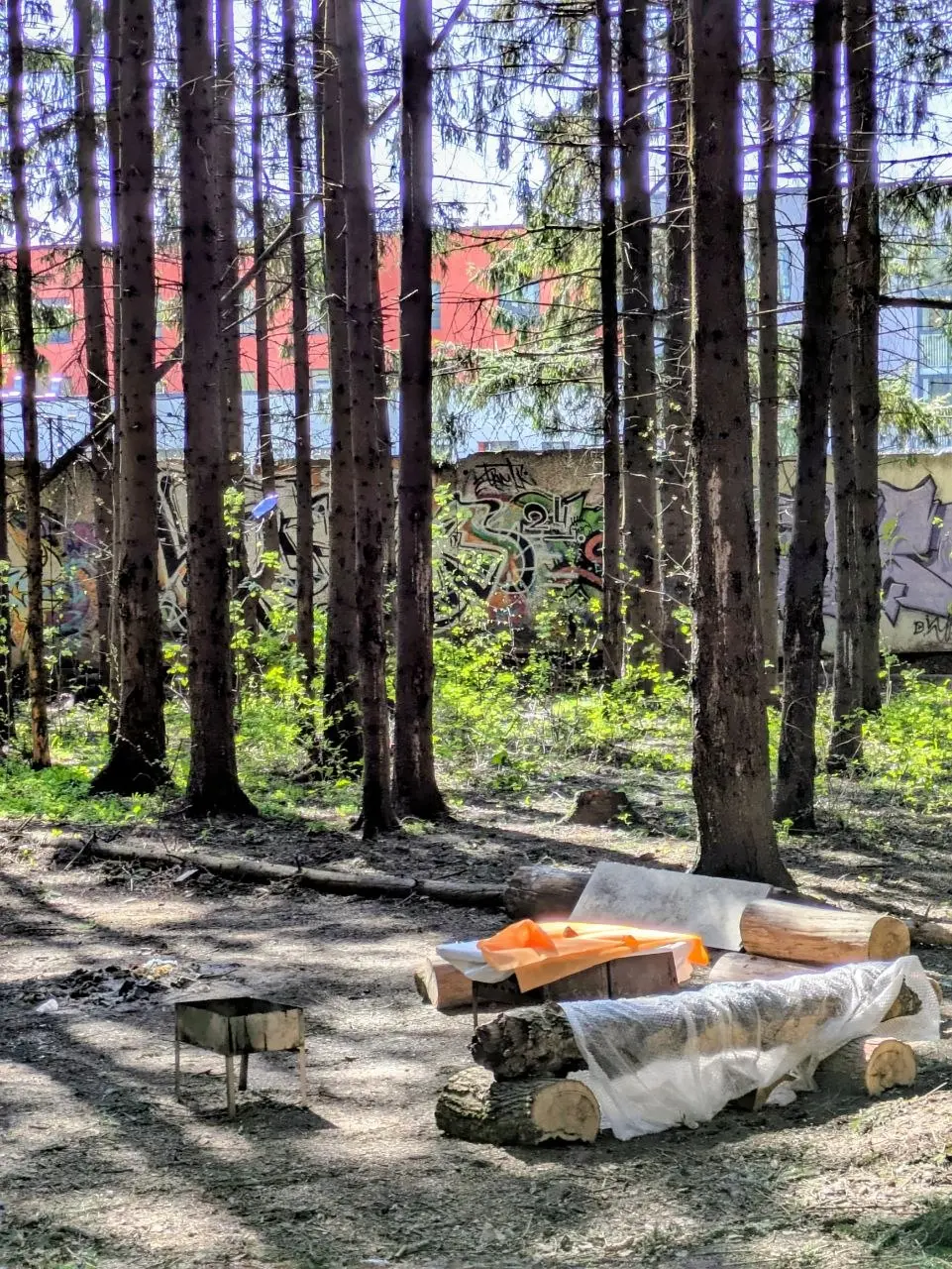 🌓 Обратная сторона глухого забора
С одной стороны спорт, а с другой - шашлыки, граффити, стрельба из пневматики, пьянки и мусор | Сетка — социальная сеть от hh.ru