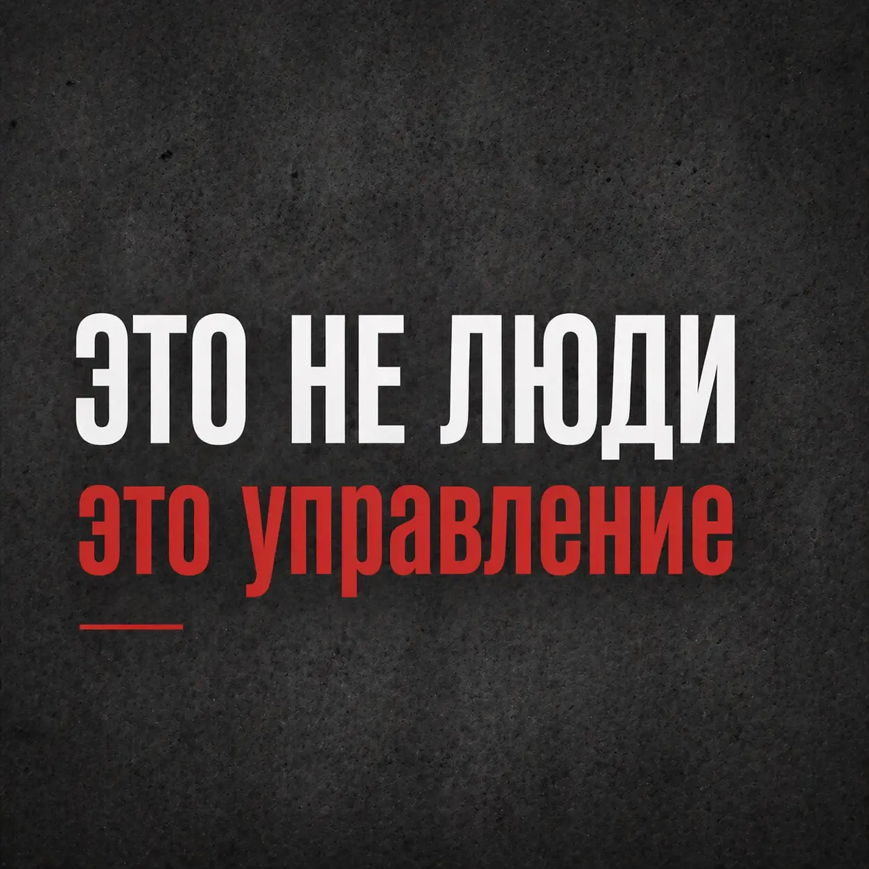 ТЕСТ | Сетка — социальная сеть от hh.ru