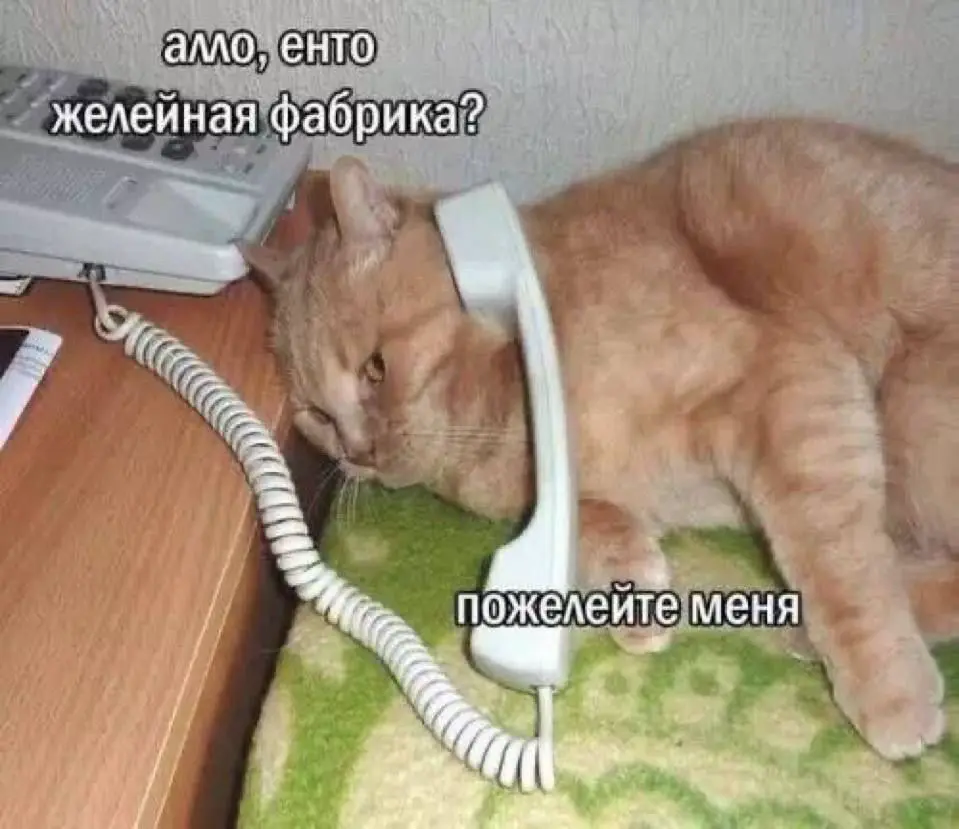 Жалость к себе: «все плохие, а я хороший» | Сетка — социальная сеть от hh.ru