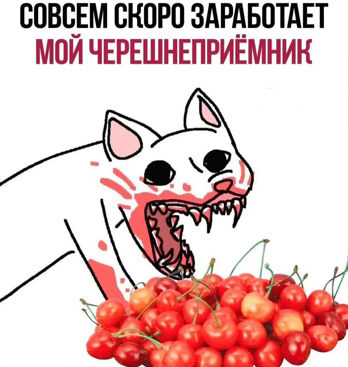 Кстати | Сетка — социальная сеть от hh.ru