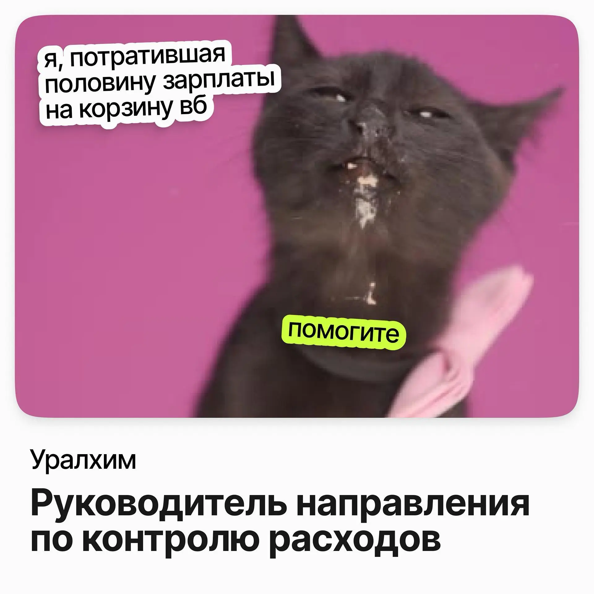 Руководитель направления по контролю расходов / Уралхим | Сетка — социальная сеть от hh.ru