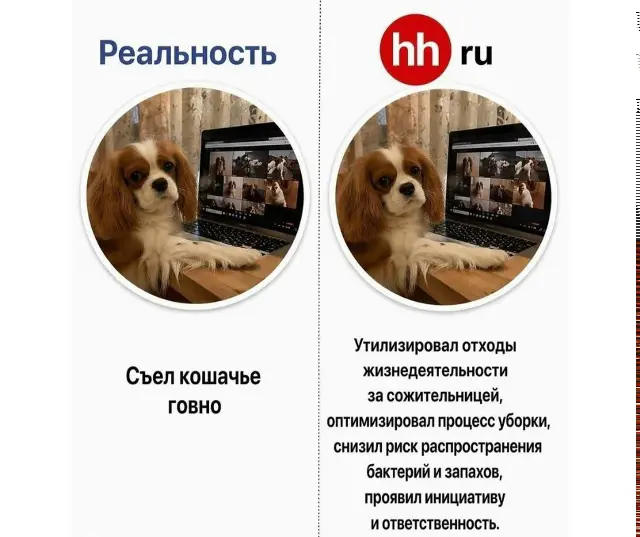 сабж | Сетка — социальная сеть от hh.ru