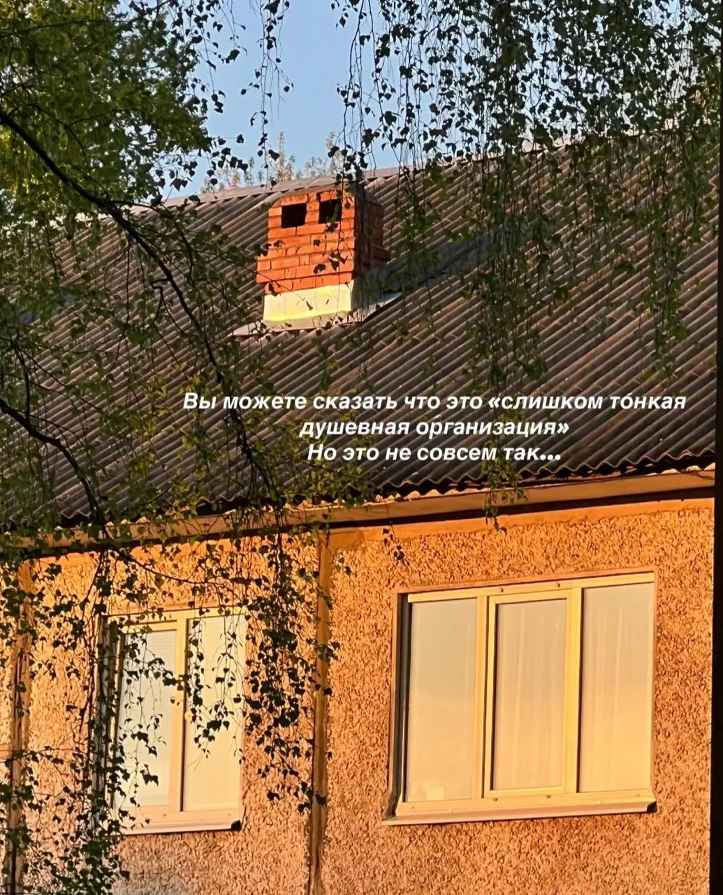 ✨Есть в японском языке слово: моно-но аварэ что означает - печальное очарование простых вещей
Это ощущение чего-то прекрасного и обыденного, но столь быстротечного, как вся наша жизнь | Сетка — социальная сеть от hh.ru