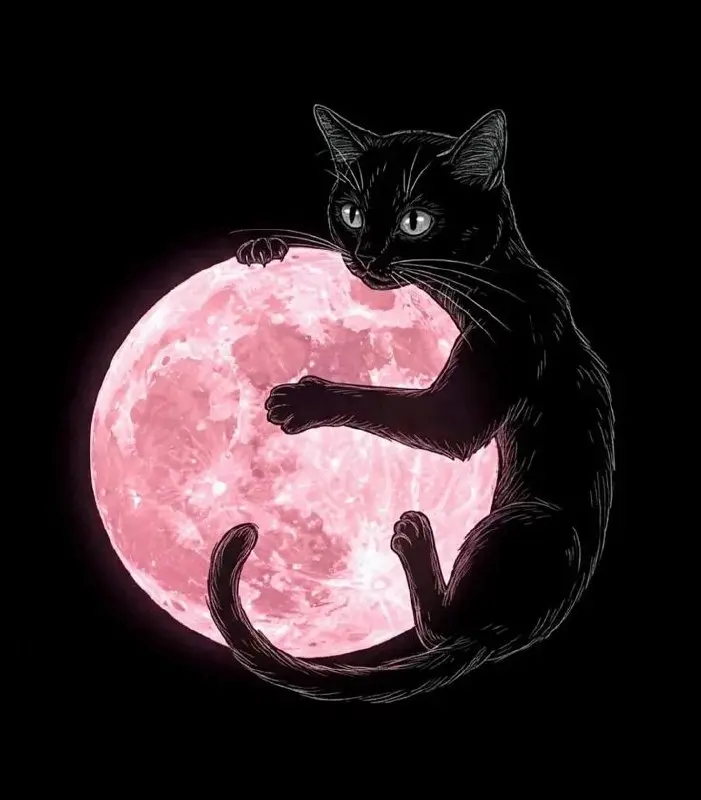 Ноготочки 🪐 | Сетка — социальная сеть от hh.ru