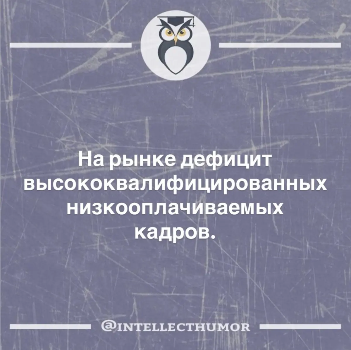 Работа есть, денег нет, но вы держитесь 🥲 | Сетка — социальная сеть от hh.ru