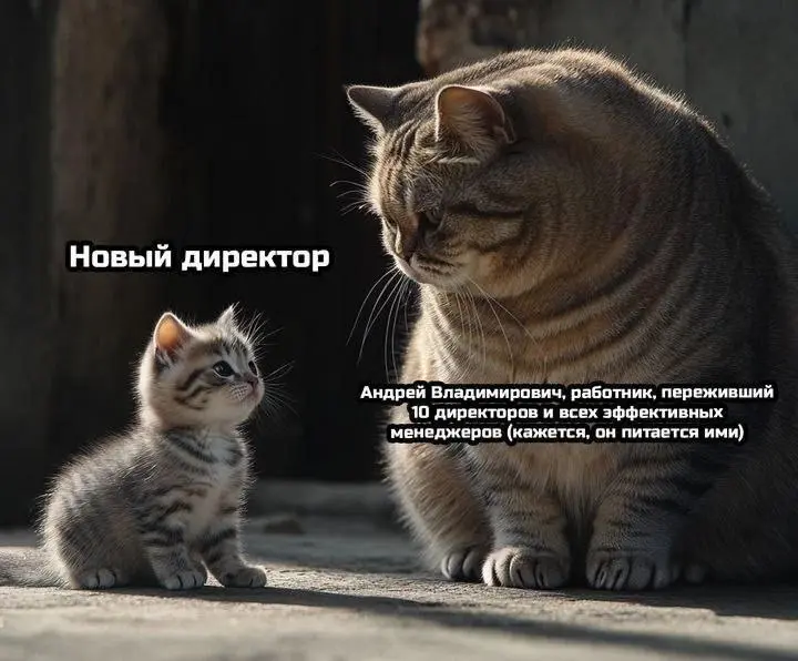 Знакомо ?😂😂 | Сетка — социальная сеть от hh.ru