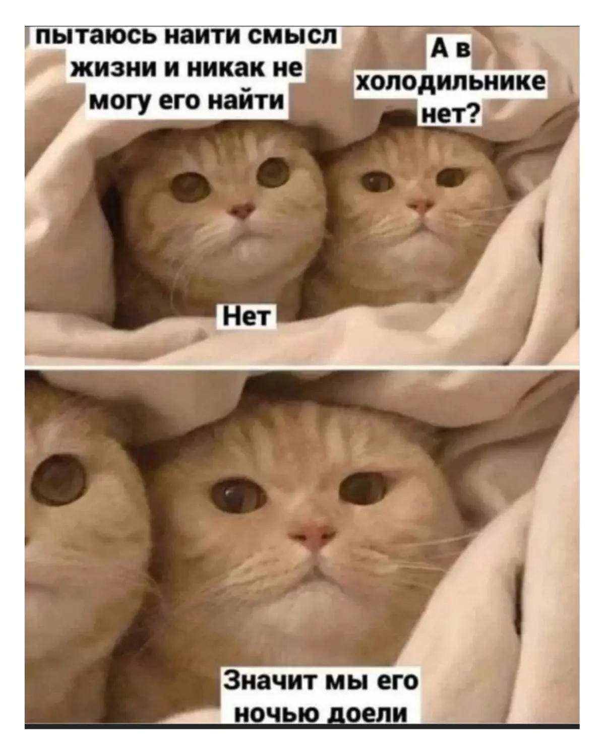 Как есть и не толстеть | Сетка — социальная сеть от hh.ru