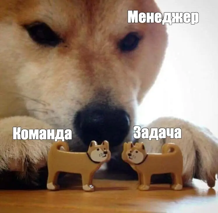 Сотрудник как актив VS сотрудник как инструмент | Сетка — социальная сеть от hh.ru
