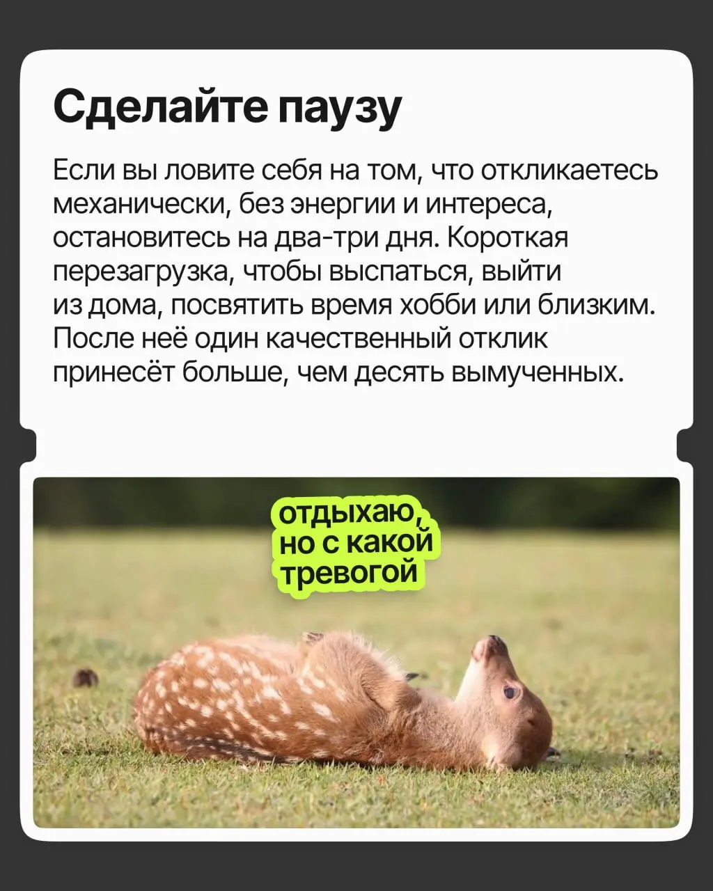 Как не сойти с ума от отказов | Сетка — социальная сеть от hh.ru