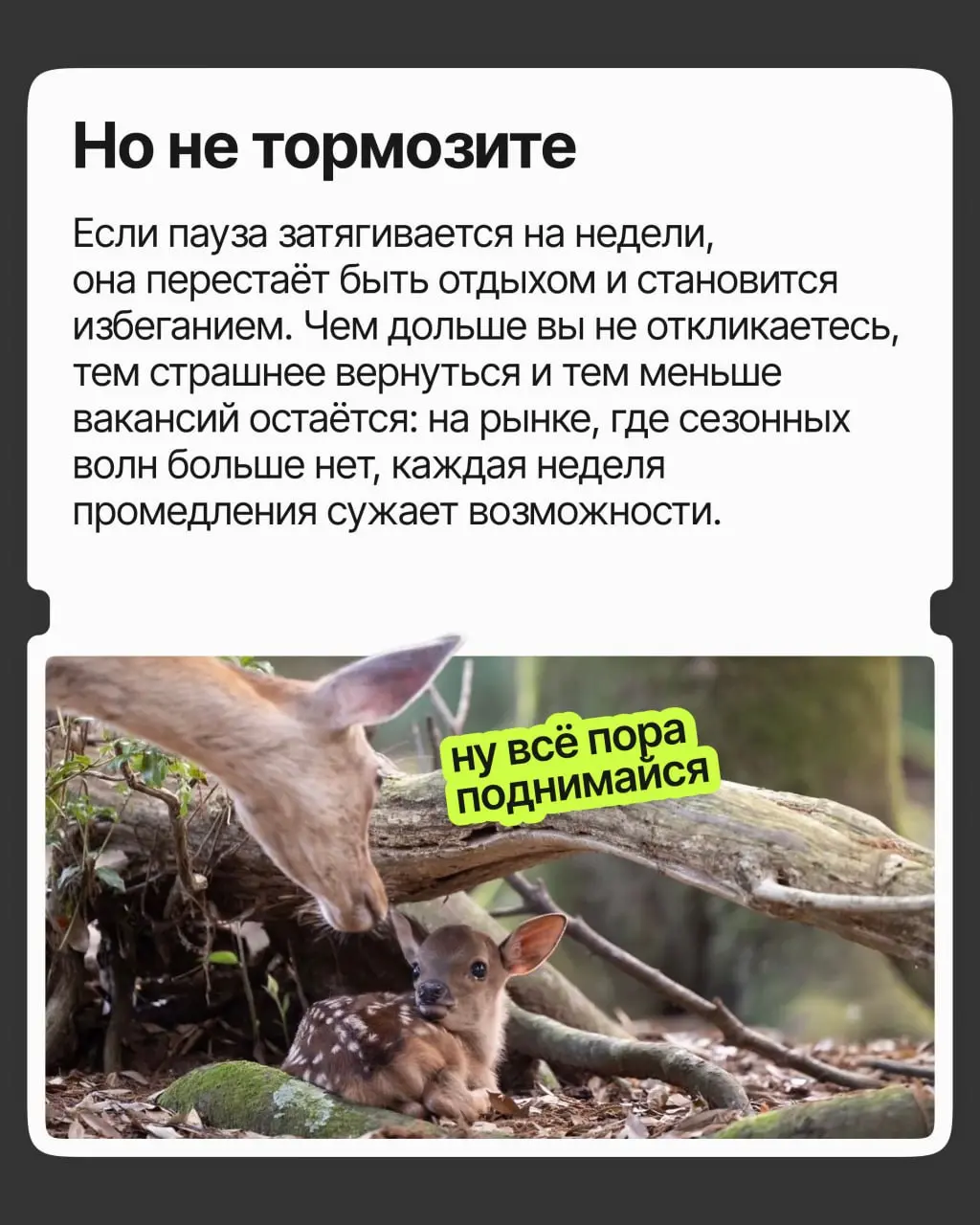 Как не сойти с ума от отказов | Сетка — социальная сеть от hh.ru