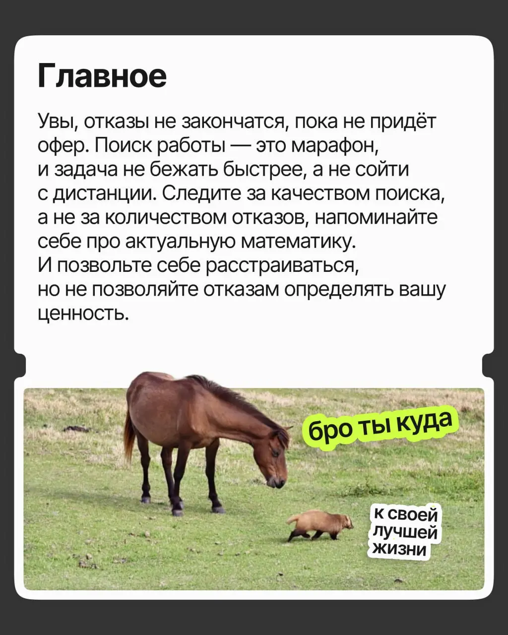 Как не сойти с ума от отказов | Сетка — социальная сеть от hh.ru