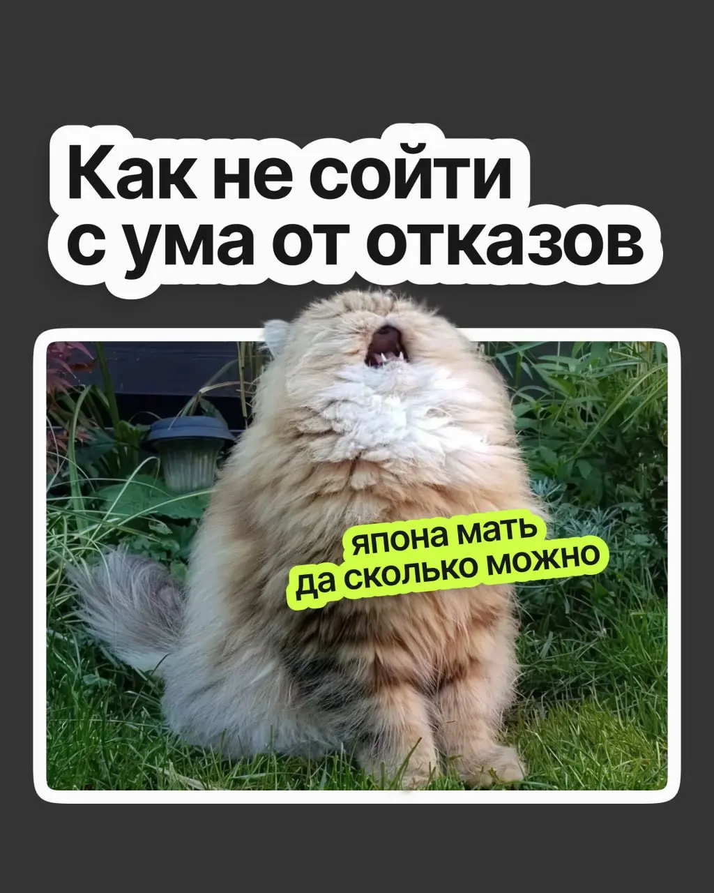 Как не сойти с ума от отказов | Сетка — социальная сеть от hh.ru