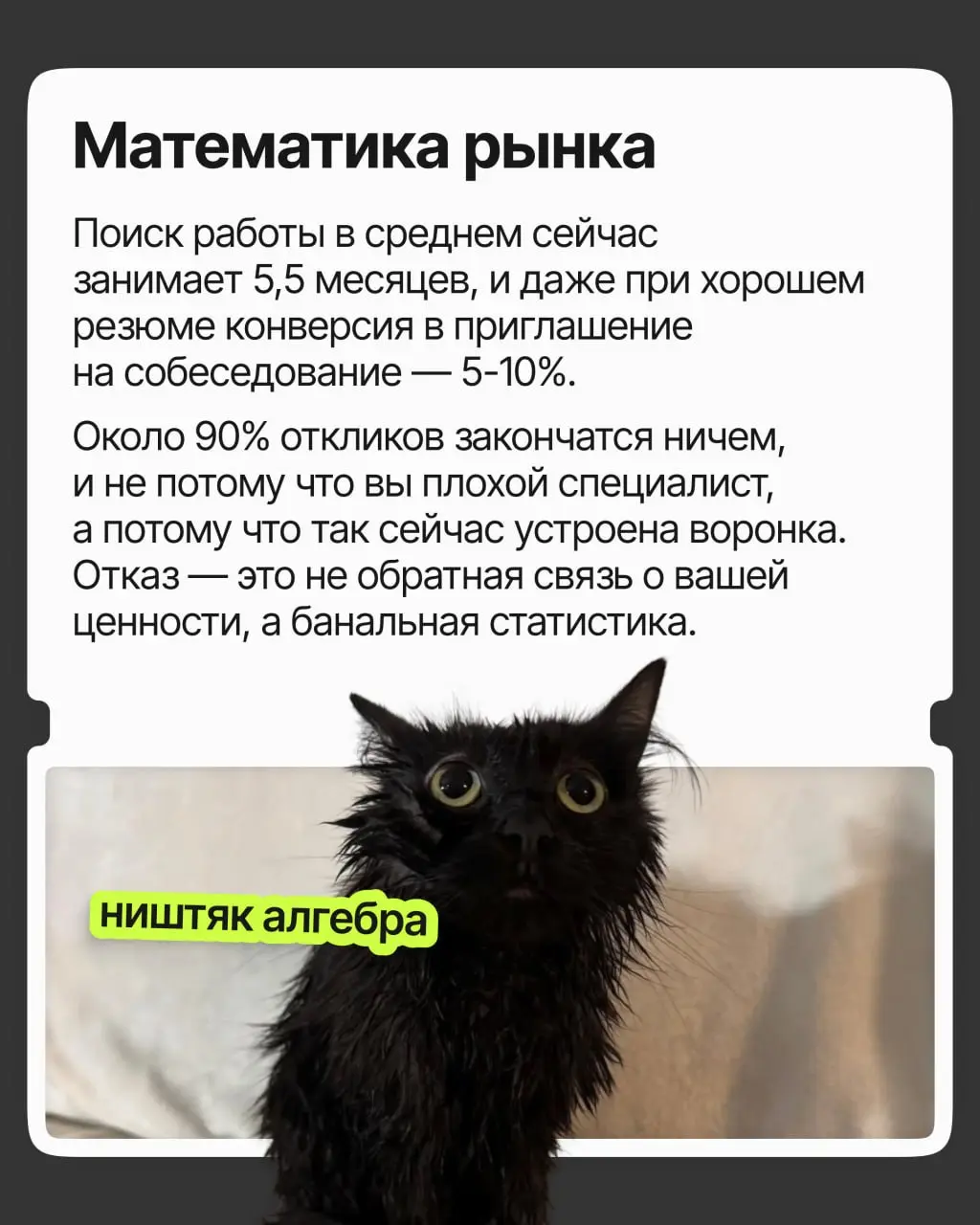 Как не сойти с ума от отказов | Сетка — социальная сеть от hh.ru