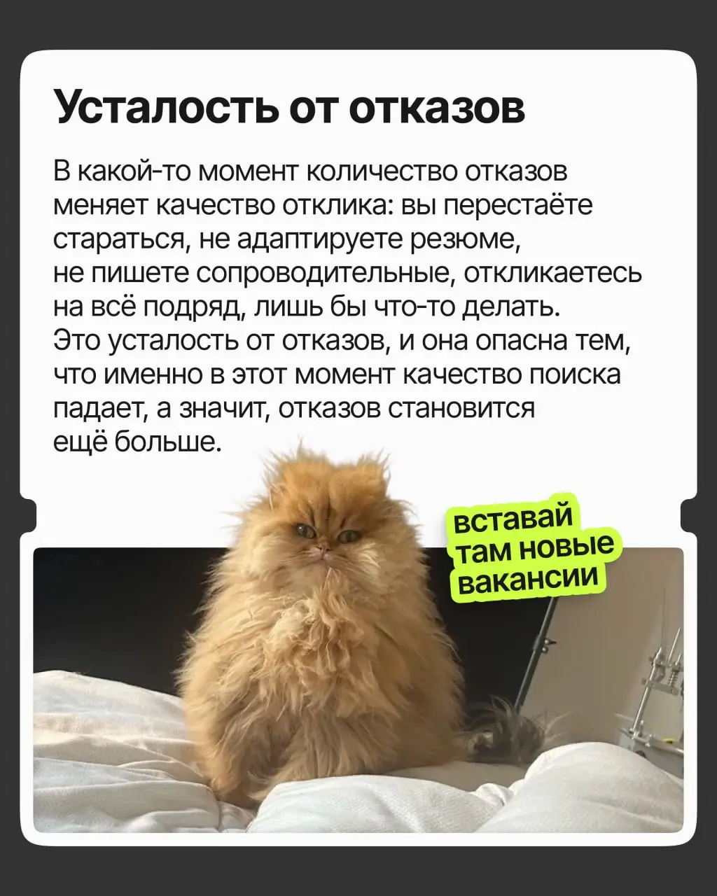 Как не сойти с ума от отказов | Сетка — социальная сеть от hh.ru
