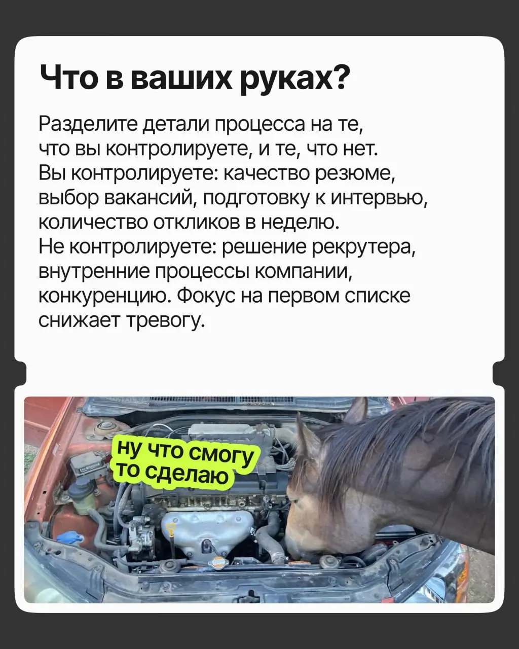Как не сойти с ума от отказов | Сетка — социальная сеть от hh.ru