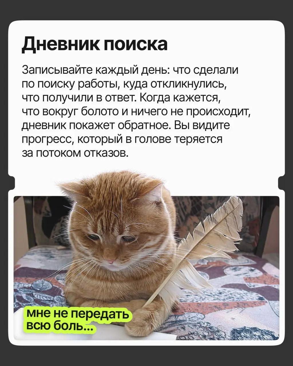 Как не сойти с ума от отказов | Сетка — социальная сеть от hh.ru