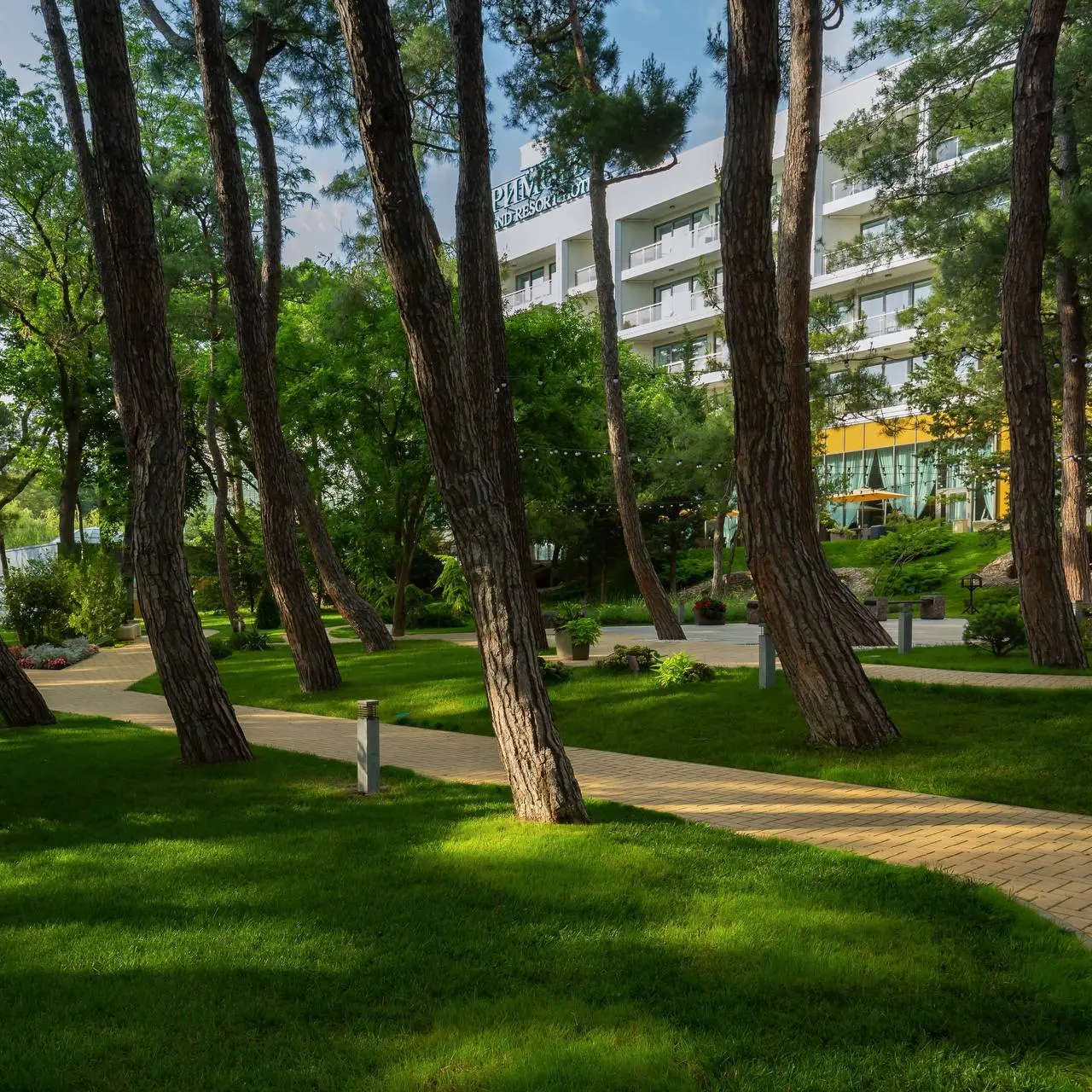 ✨360 Executive Hotel Management — Специальный Партнёр MC 2026✨
360 Executive Hotel Management — управляющая компания, объединяющая премиальные отели и городские пространства для деловых мероприятий ра... | Сетка — социальная сеть от hh.ru