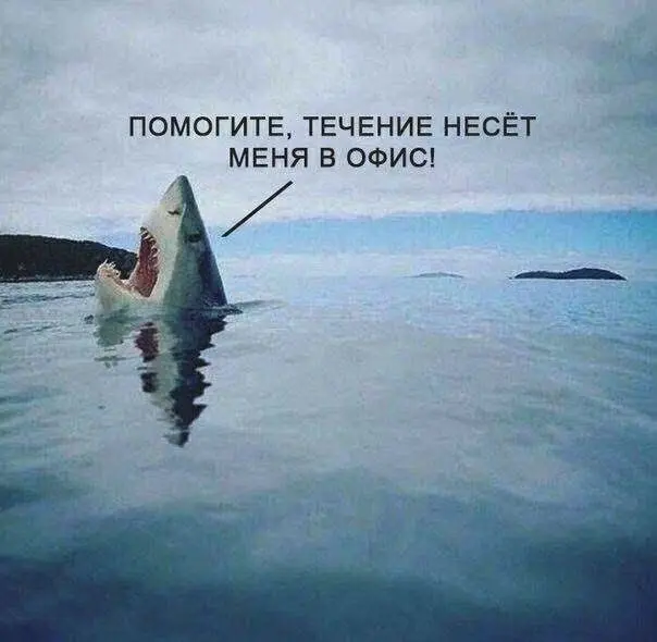 Офис — потеря времени. Удалёнка — тест на взрослость | Сетка — социальная сеть от hh.ru