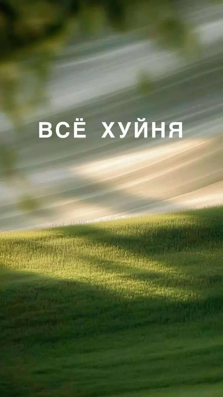 На случай важных переговоров!
В один из моих любимых чатов, где собрались главные специалисты и по совместительству сливки внутренних коммуникаций всея Руси и не только, присоединилась девочка и сходу... | Сетка — социальная сеть от hh.ru