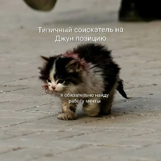 Пу-пу-пу... | Сетка — социальная сеть от hh.ru