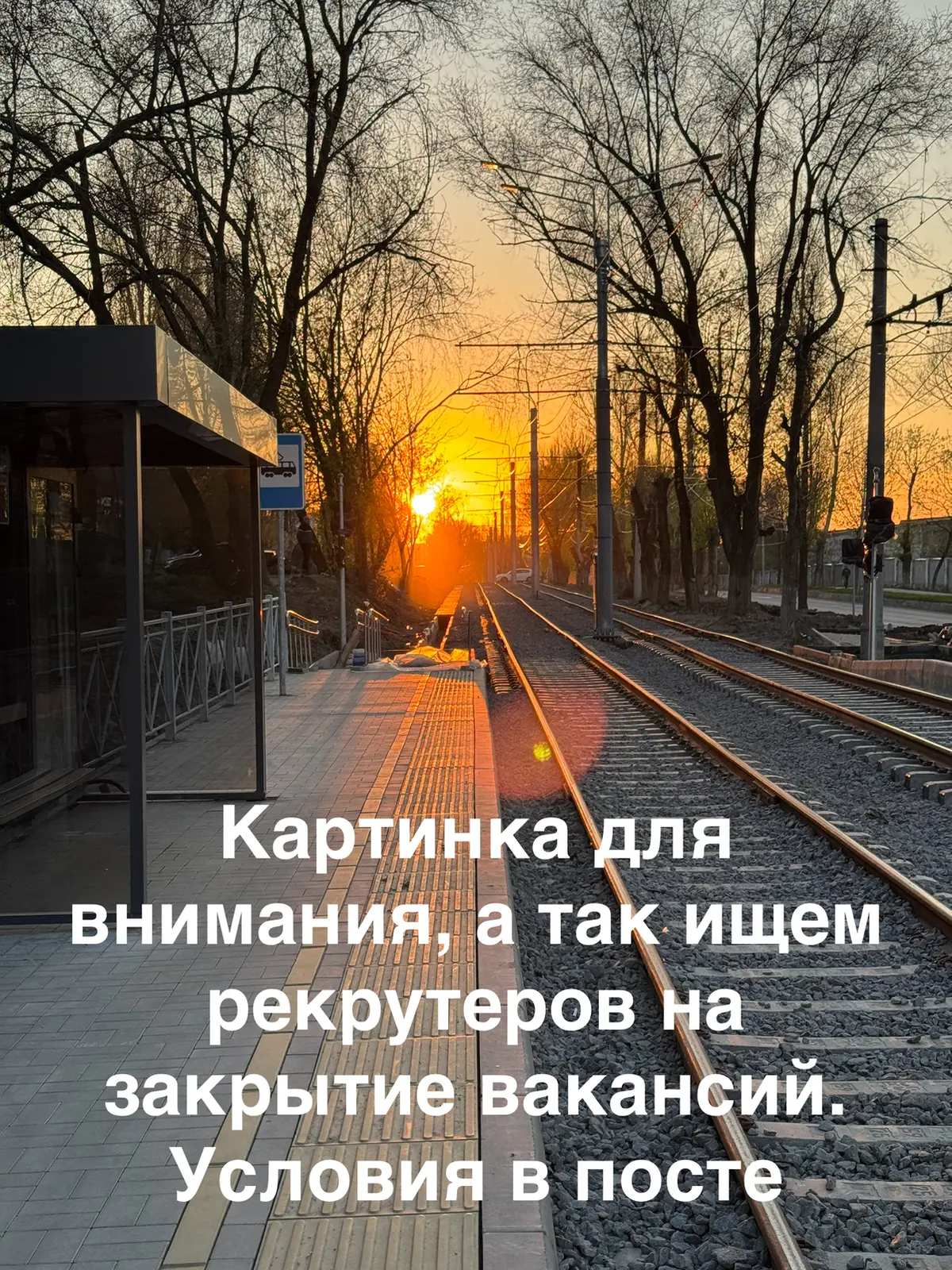 Ищем рекрутеров 👀 | Сетка — социальная сеть от hh.ru