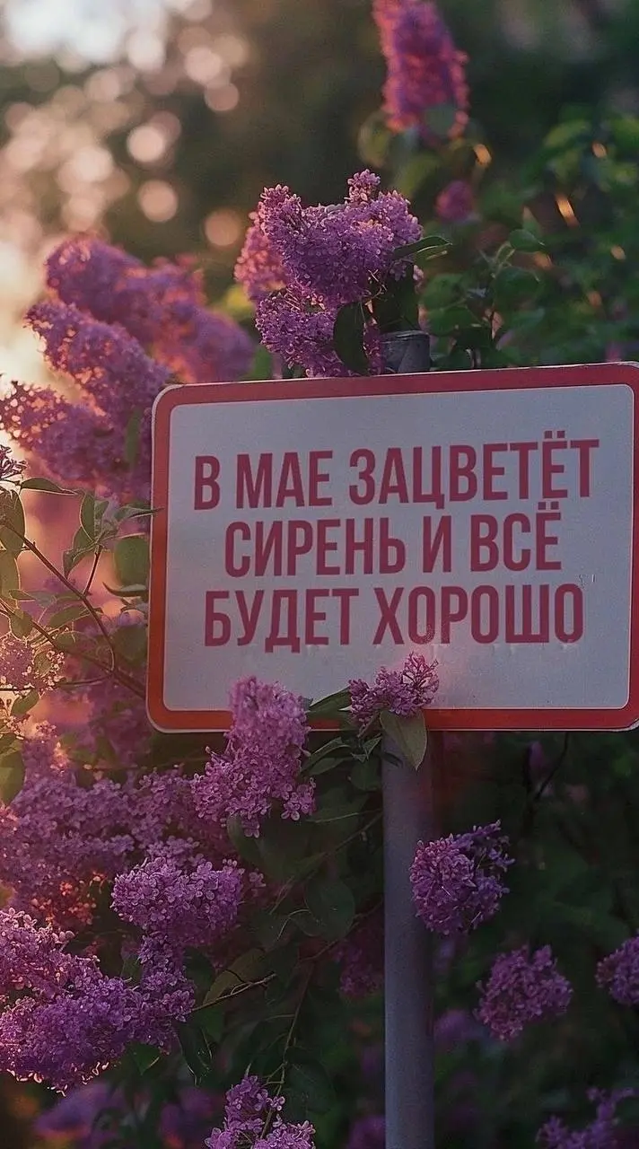 С праздником Весны!!! Желаю вам чудесного времяпрепровождения и вкусных шашлычков 👌 | Сетка — социальная сеть от hh.ru